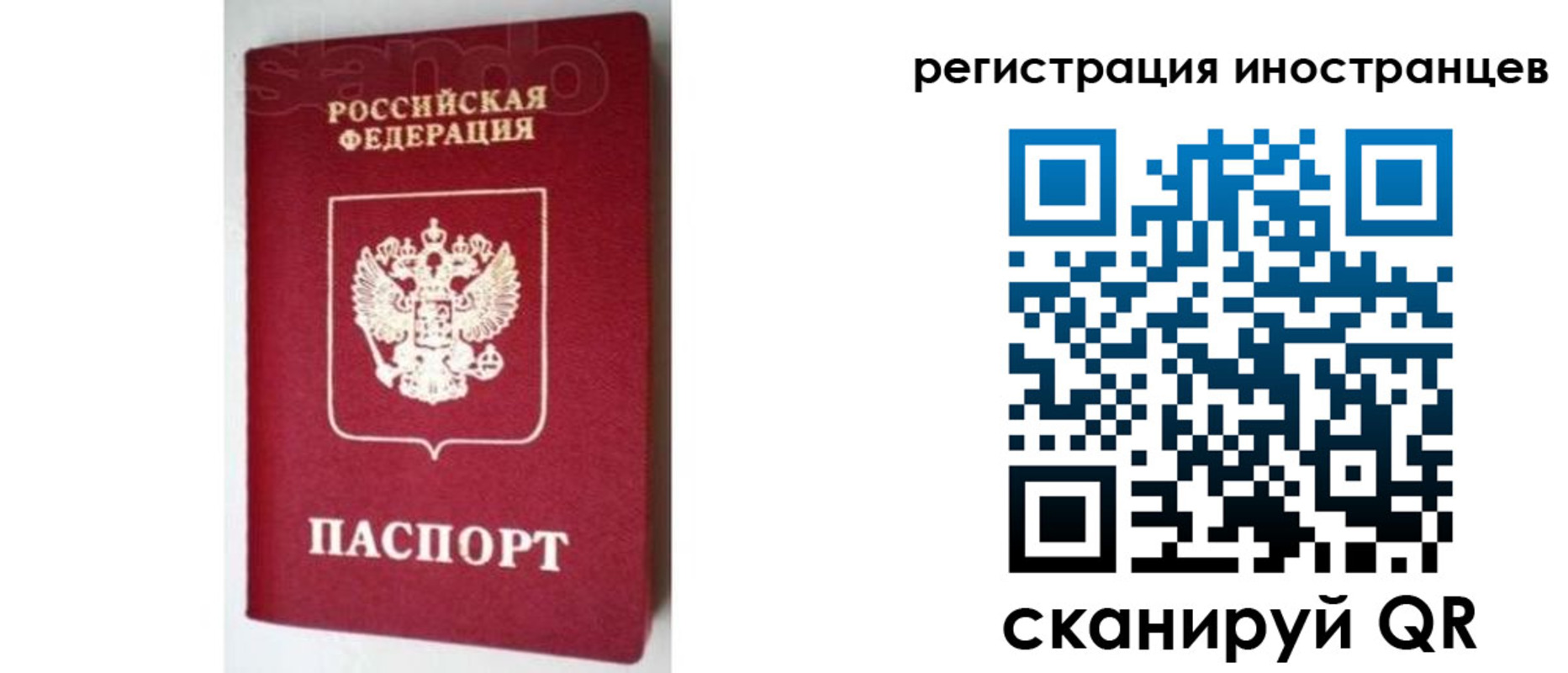 прописка для работы в Пионерском