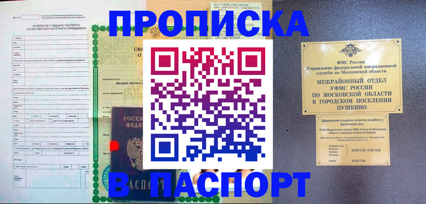 временная регистрация госуслуги в Пионерском